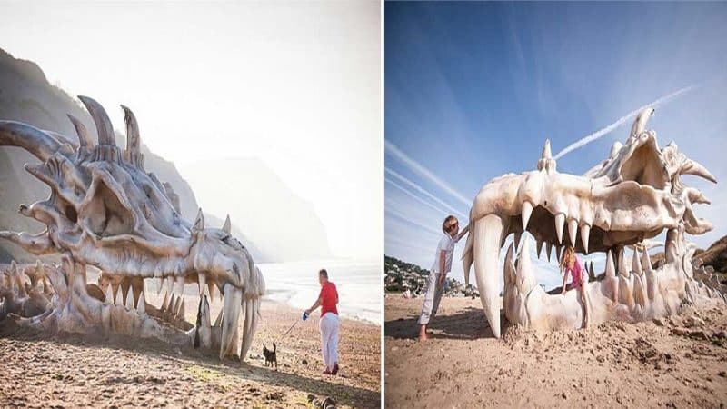 Unearthed Wonder: Archaeologists in Disbelief as Fabled Ancient Dragon Skull Discovered on Beach