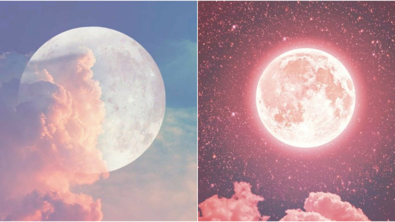 Blush of the Lunar Serenade: Embracing the Mystical Charm of Rosy Moonlit Evenings