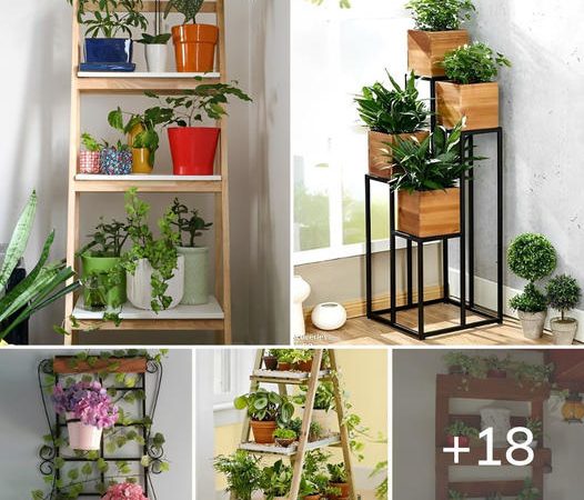 Ideas To Decorate Your House With Plants