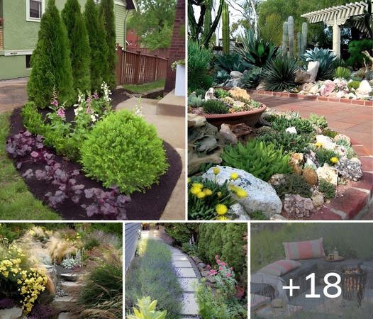 18 Charming Outdoor Landscaping Ideas