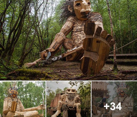 Revealing Majestic Wooden Giants in the Enchanting Wilderness of a Belgian Forest: A Man’s Passionate Pursuit