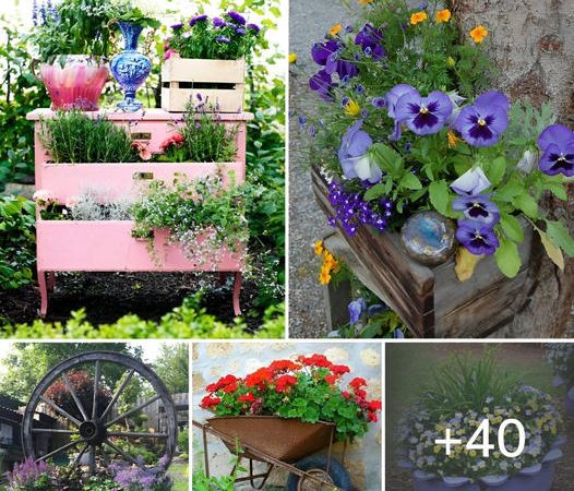 Creative ideas with beautiful decorations for every garden – 40 ideas to take advantage of old things