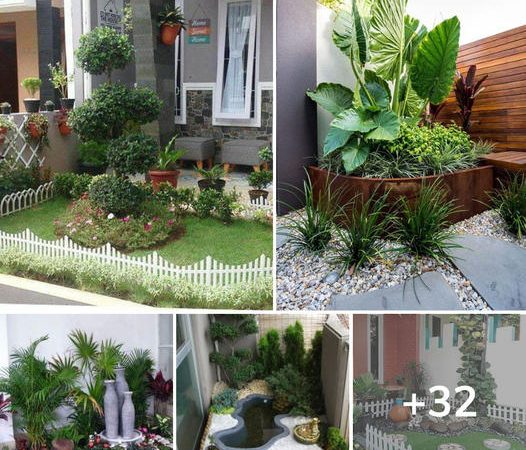 A collection of 32 ideas for organizing small gardens in various corners to increase green space. Beautiful in many styles