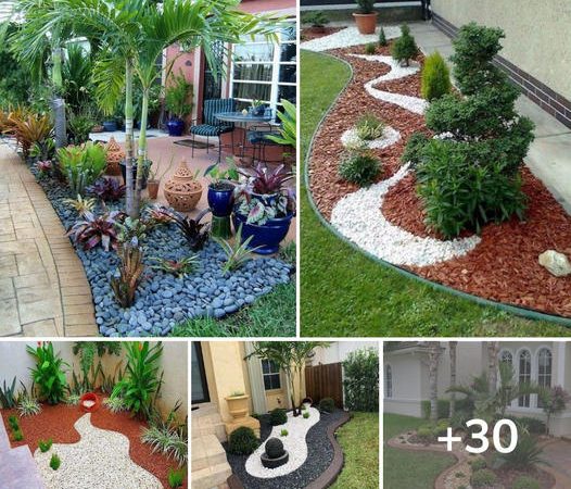 30 Small Garden Design Ideas on a Budget to Inspire Your Space