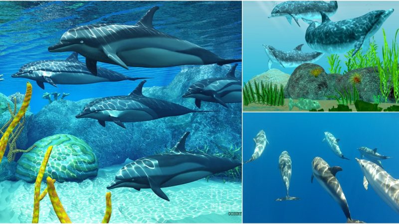 Understanding the Behavior and Habitat of Striped Dolphins