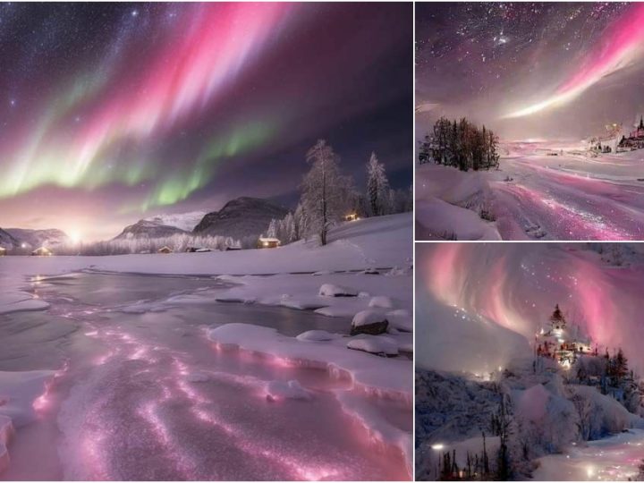 Norway’s Magical Pink Northern Lights