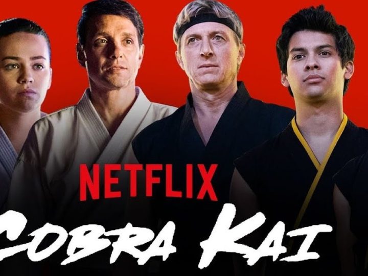 Cobra Kai Official Trailer | The Karate Kid Saga Continues