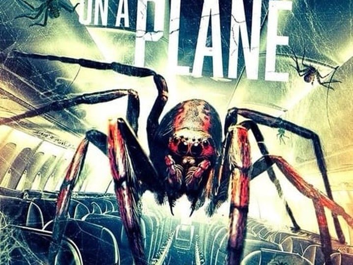 “Spiders on a Plane” (2024) – A Terrifying Flight You Won’t Forget!