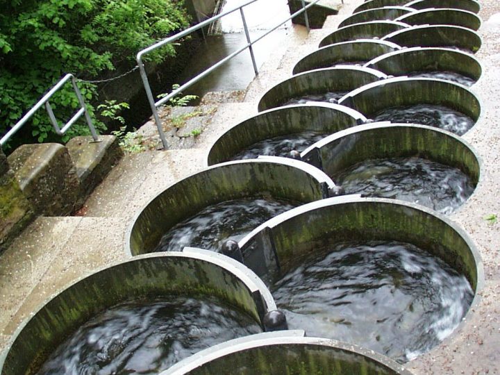 The Fish Ladder at Picoux Gorge, Switzerland – A Marvel of Eco-Friendly Engineering